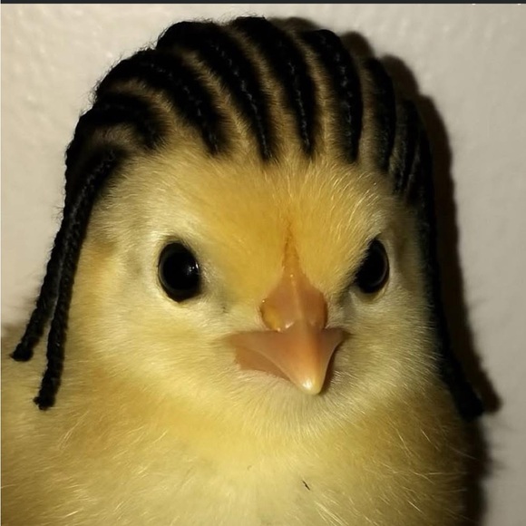jawnblaze